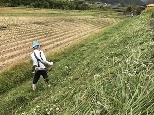 草刈り・清掃ボランティア