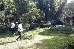 *玉湯町：空口公園