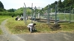 第33回 水源クリーン作戦