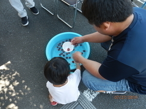 夏のショールーム祭り